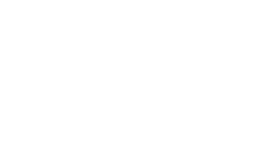 thefreshfindz